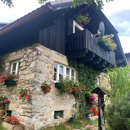 Ferienwohnung Apartman U Potucku Železná Ruda Exterior foto