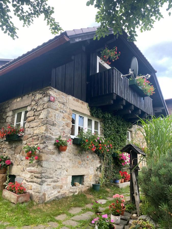 Ferienwohnung Apartman U Potucku Železná Ruda Exterior foto