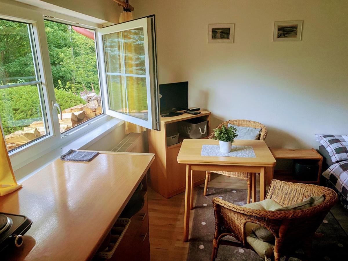 Ferienwohnung Apartman U Potucku Železná Ruda Exterior foto